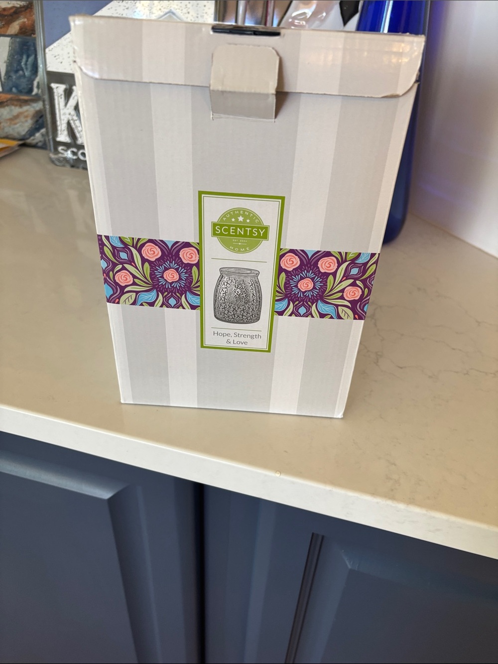 Scentsy new in box warmer